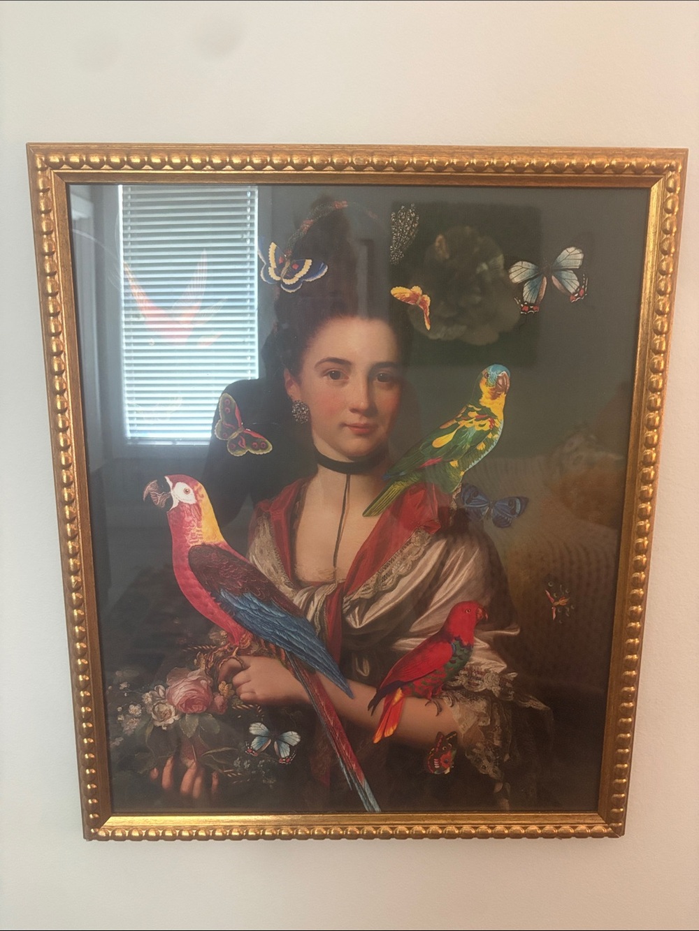 Classic Framed Bird Art Print - Multicolor Parrots